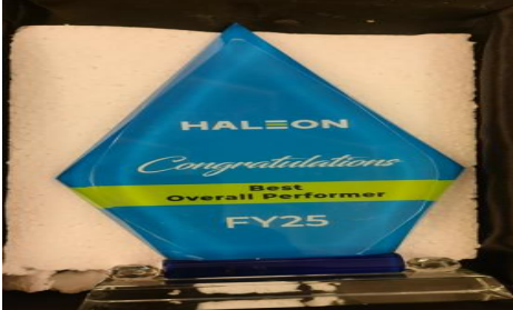 Best Overall Performance Award Icon